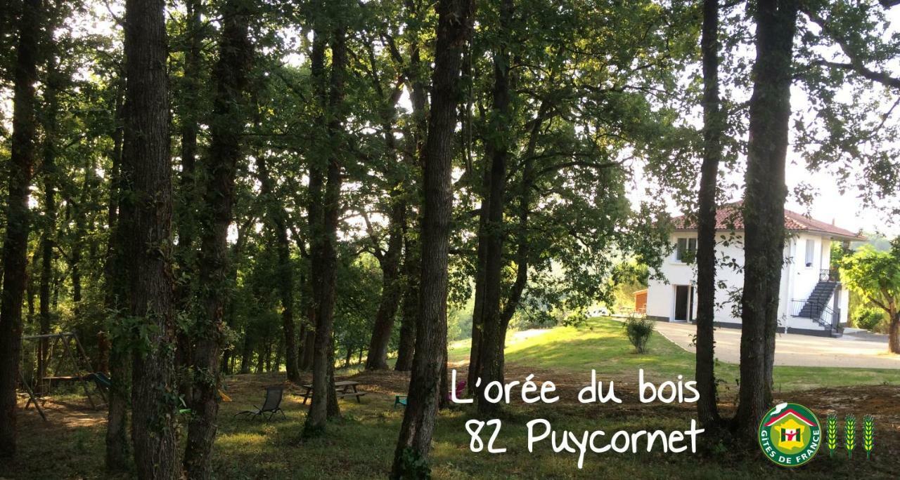gîte côté vallée Puycornet Extérieur photo
